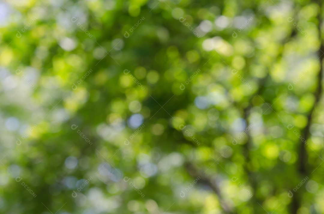 Abstrato base de natureza verde turva. pano de fundo embaçado para modelo de elemento de design