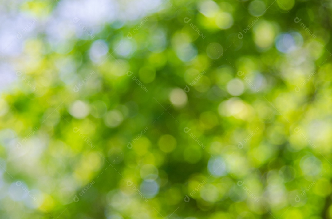 Abstrato base de natureza verde turva. pano de fundo embaçado para modelo de elemento de design