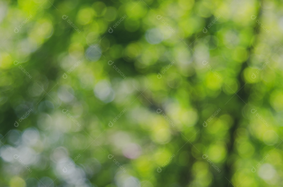 Abstrato base de natureza verde turva. pano de fundo embaçado para modelo de elemento de design