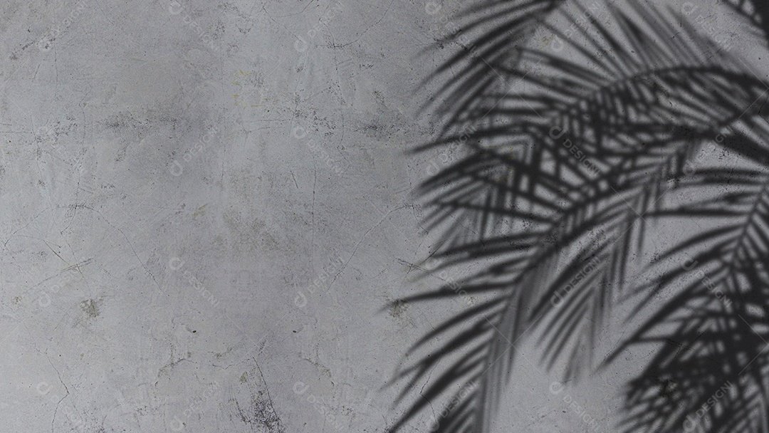 Uma imagem de coqueiro deixa sombra na parede.