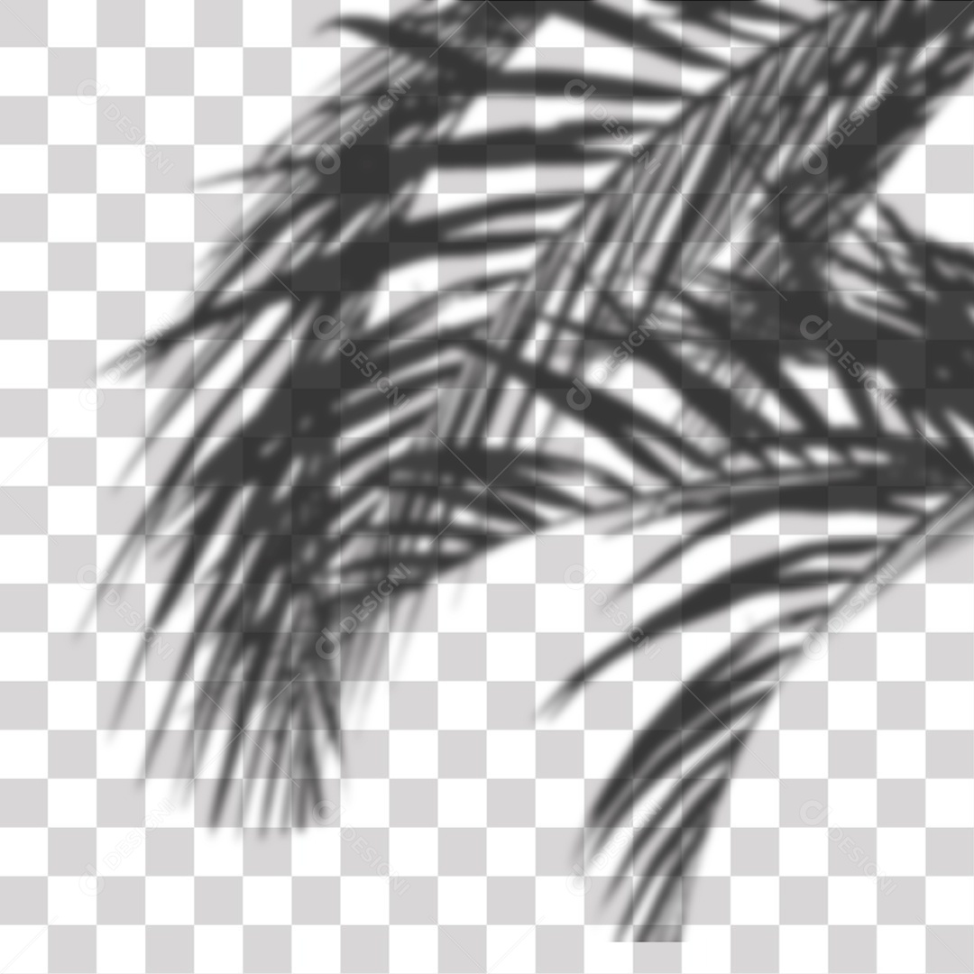 Sombra Folhas de Coqueiro PNG Transparente