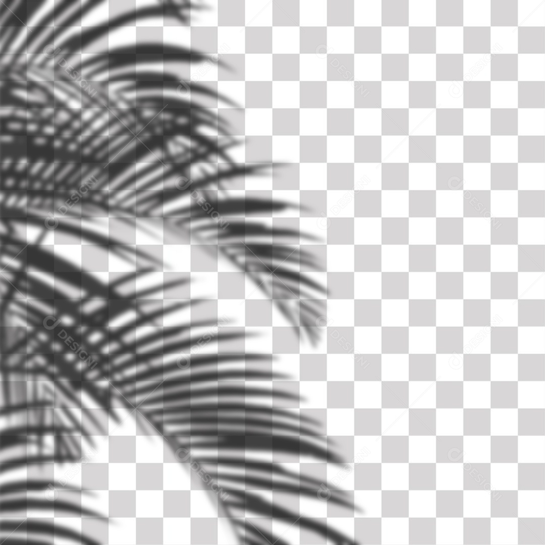 Sombra Folhas de Coqueiro PNG Transparente