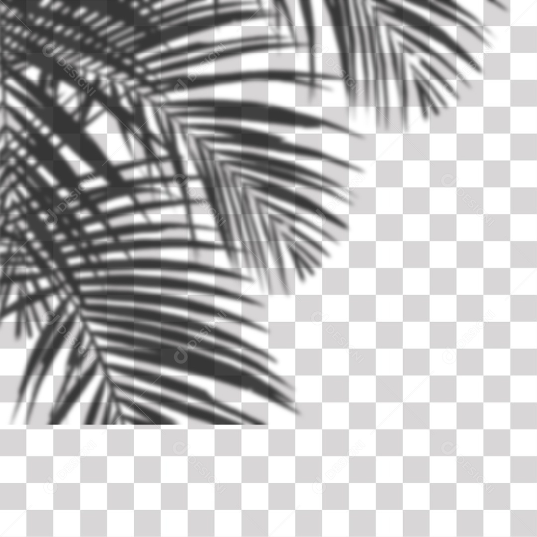 Sombra Folhas de Coqueiro PNG Transprente