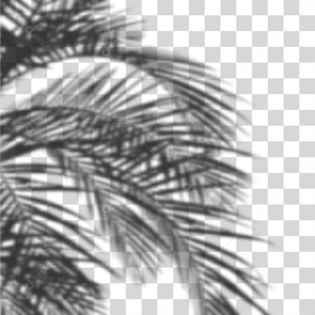 Sombra Folhas de Coqueiro PNG Transprente