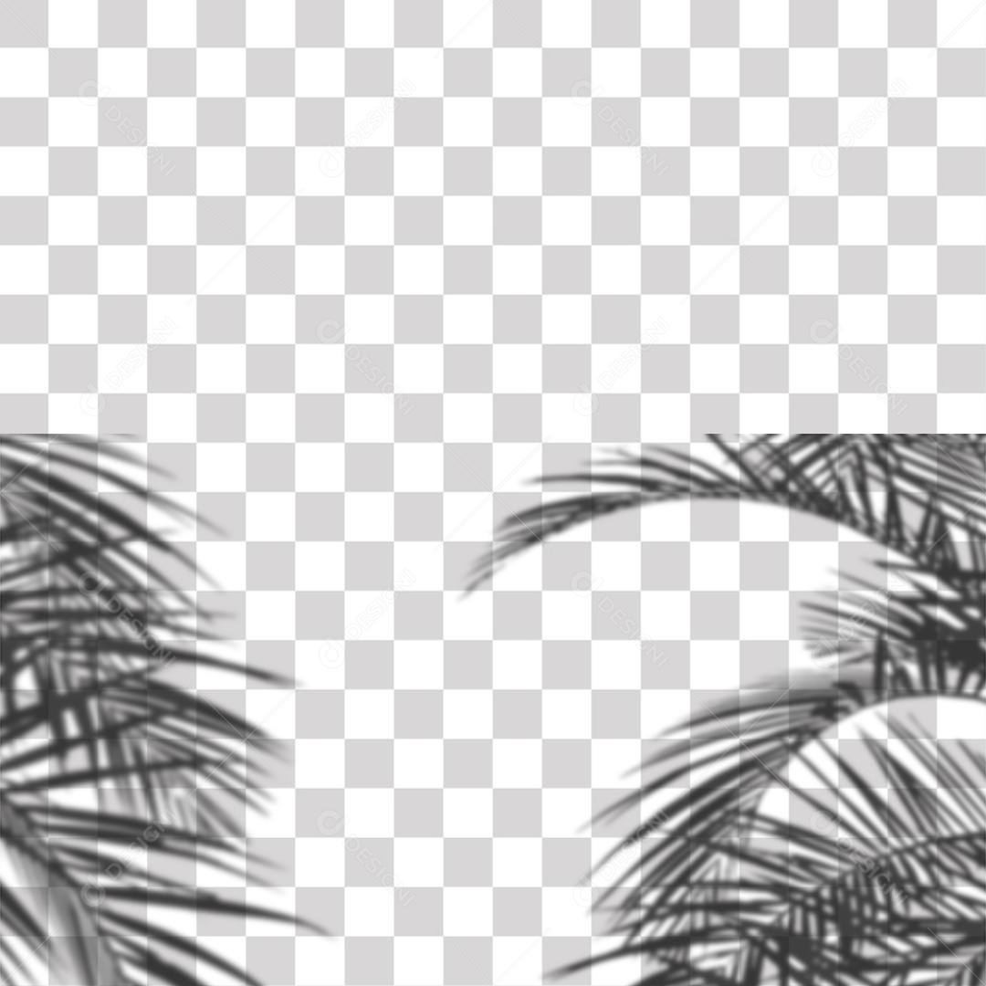 Sombra Folhas de Coqueiro PNG Transprente