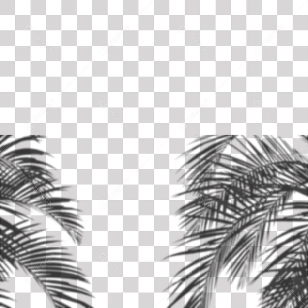 Sombra Folhas de Coqueiro PNG Transprente