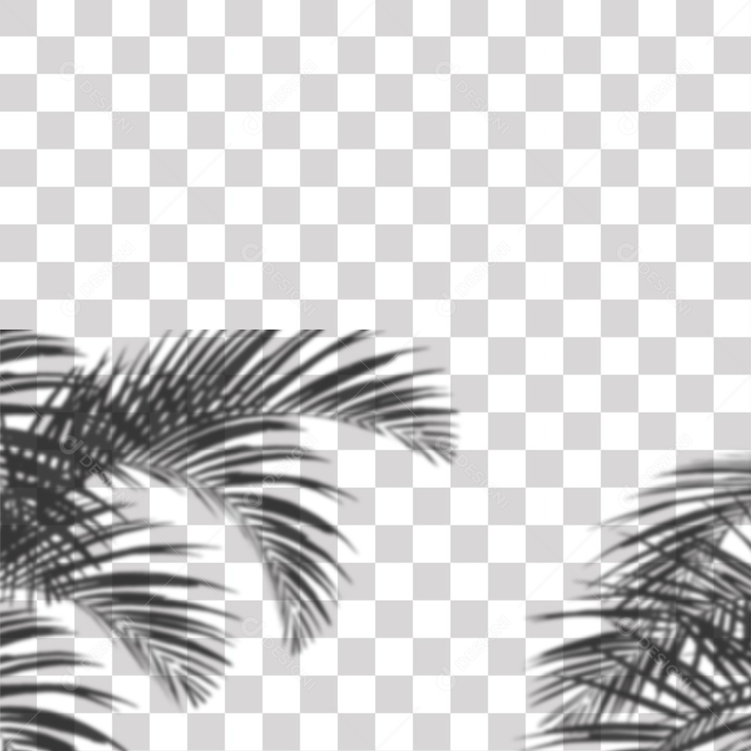 Sombra Folhas de Coqueiro PNG Transprente