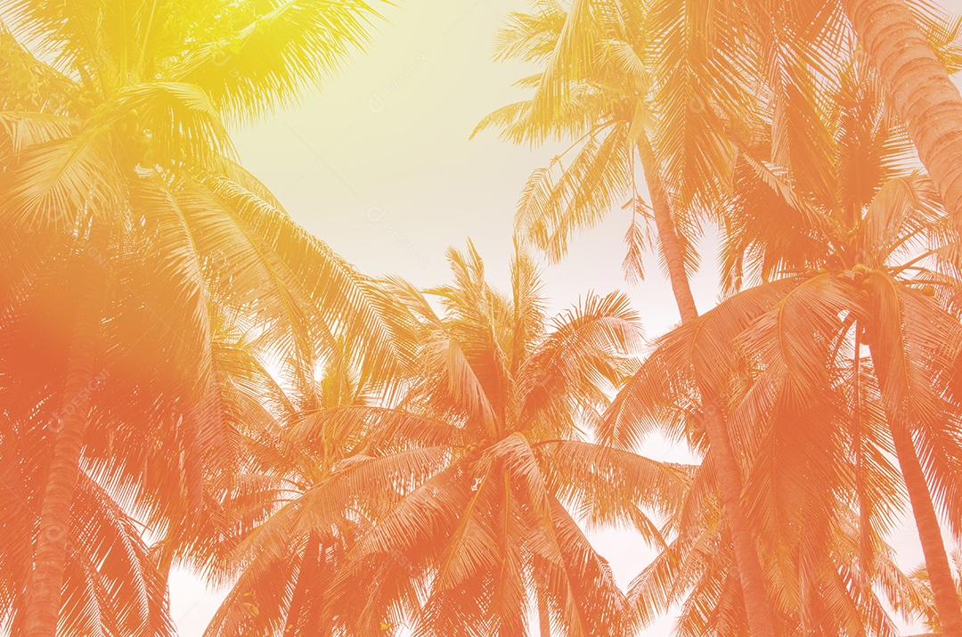 Coqueiro na costa tropical, feito com tons vintage