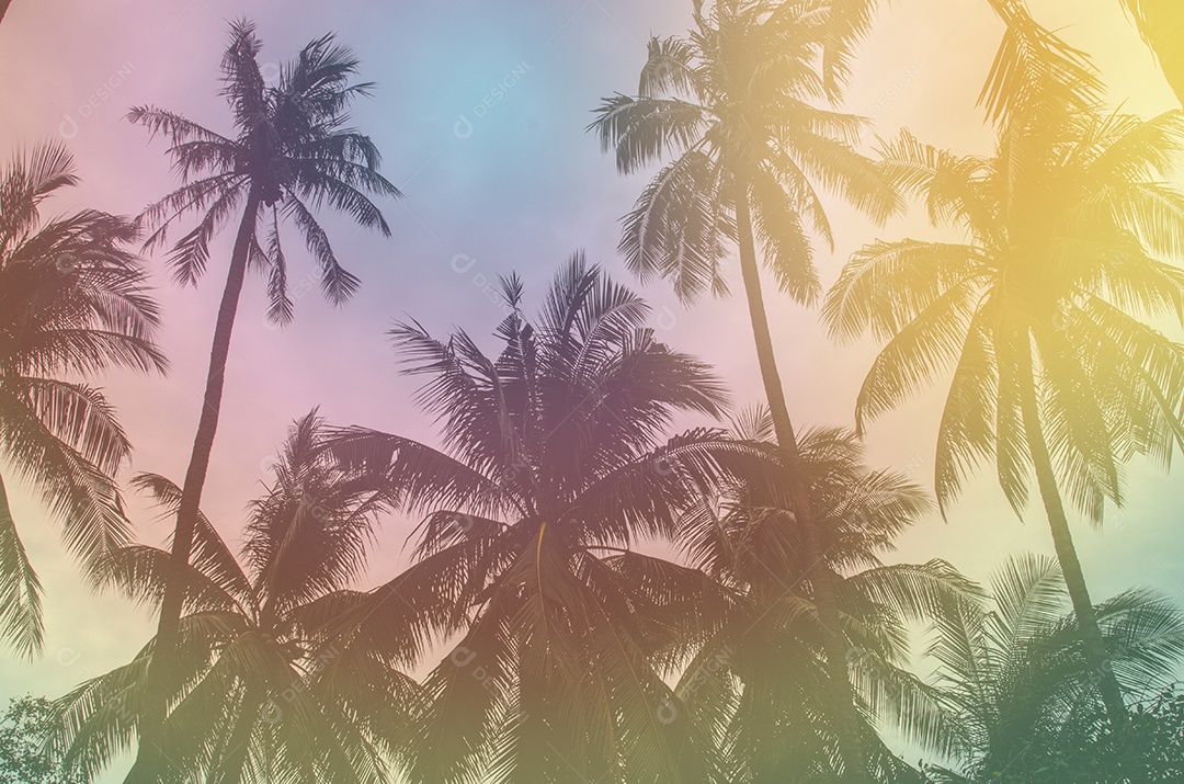 Coqueiro na costa tropical, feito com tons vintage