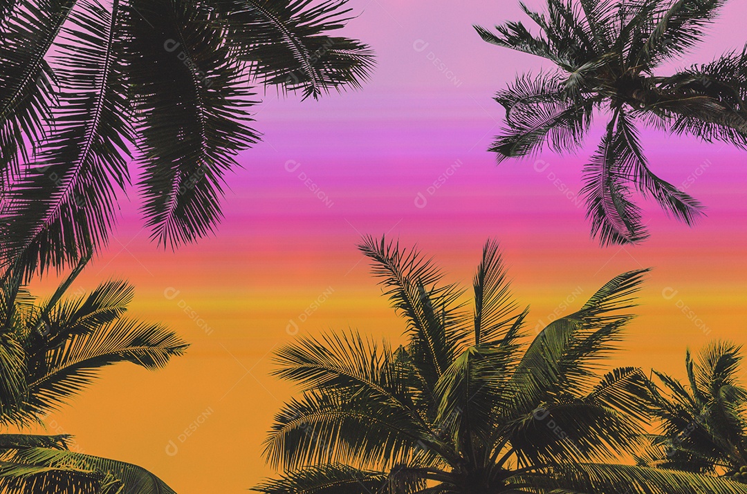 Coqueiro na costa tropical, feito com tons vintage