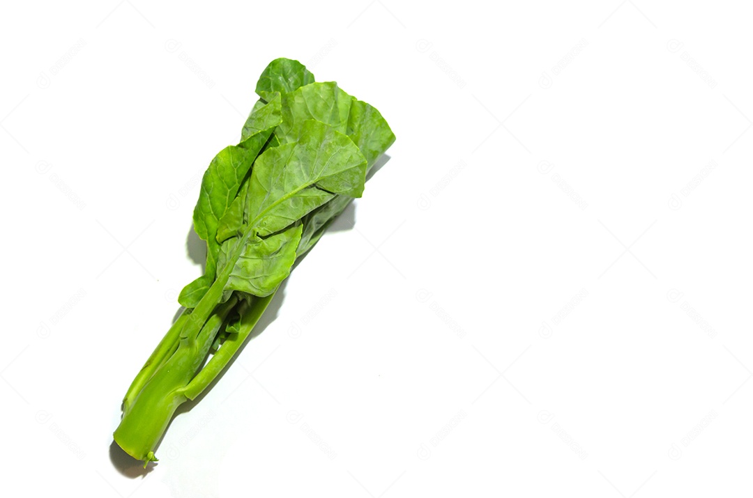 Couve fresca em um fundo branco