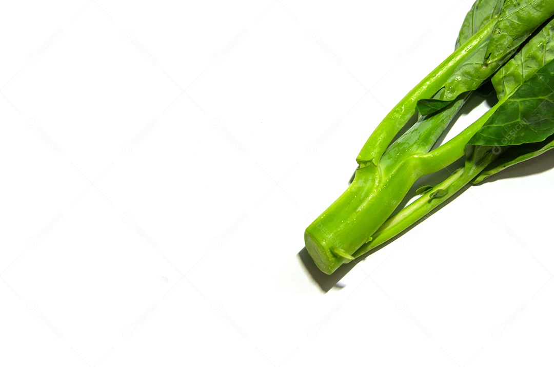 Couve fresca em um fundo branco