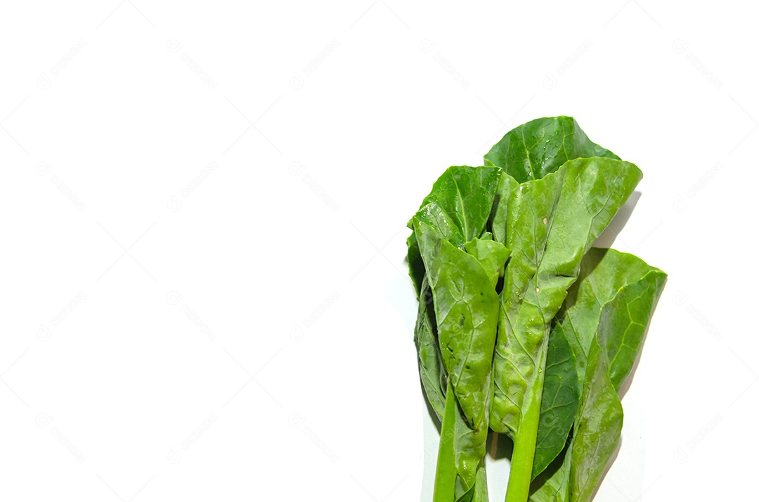 Couve fresca em um fundo branco