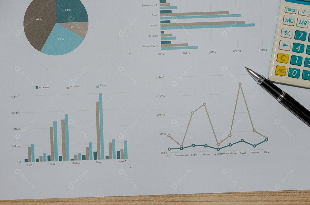Documento de negócios Gráfico e gráfico financeiros.
