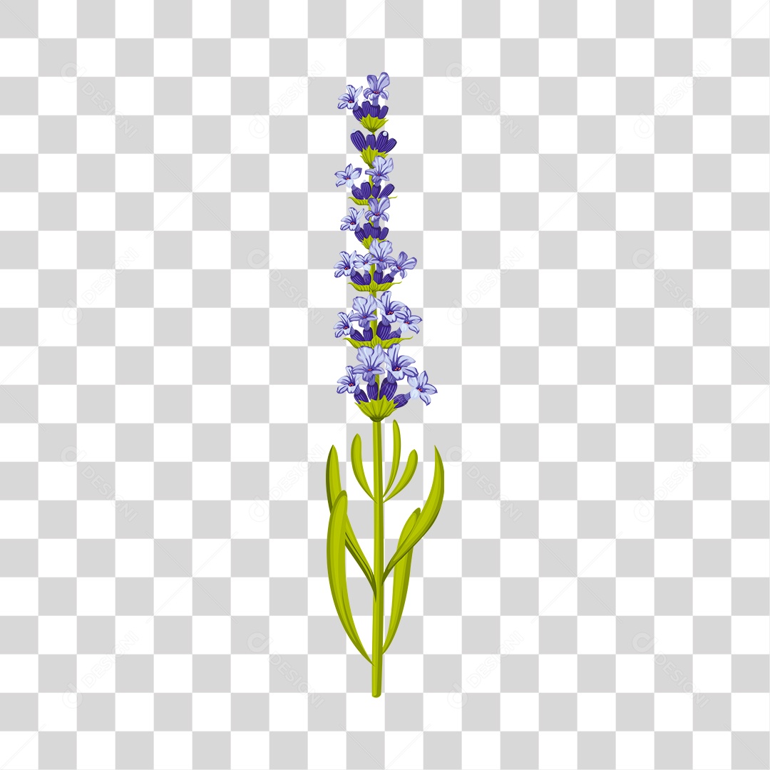 Flores lavanda, desenhadas com lápis coloridos