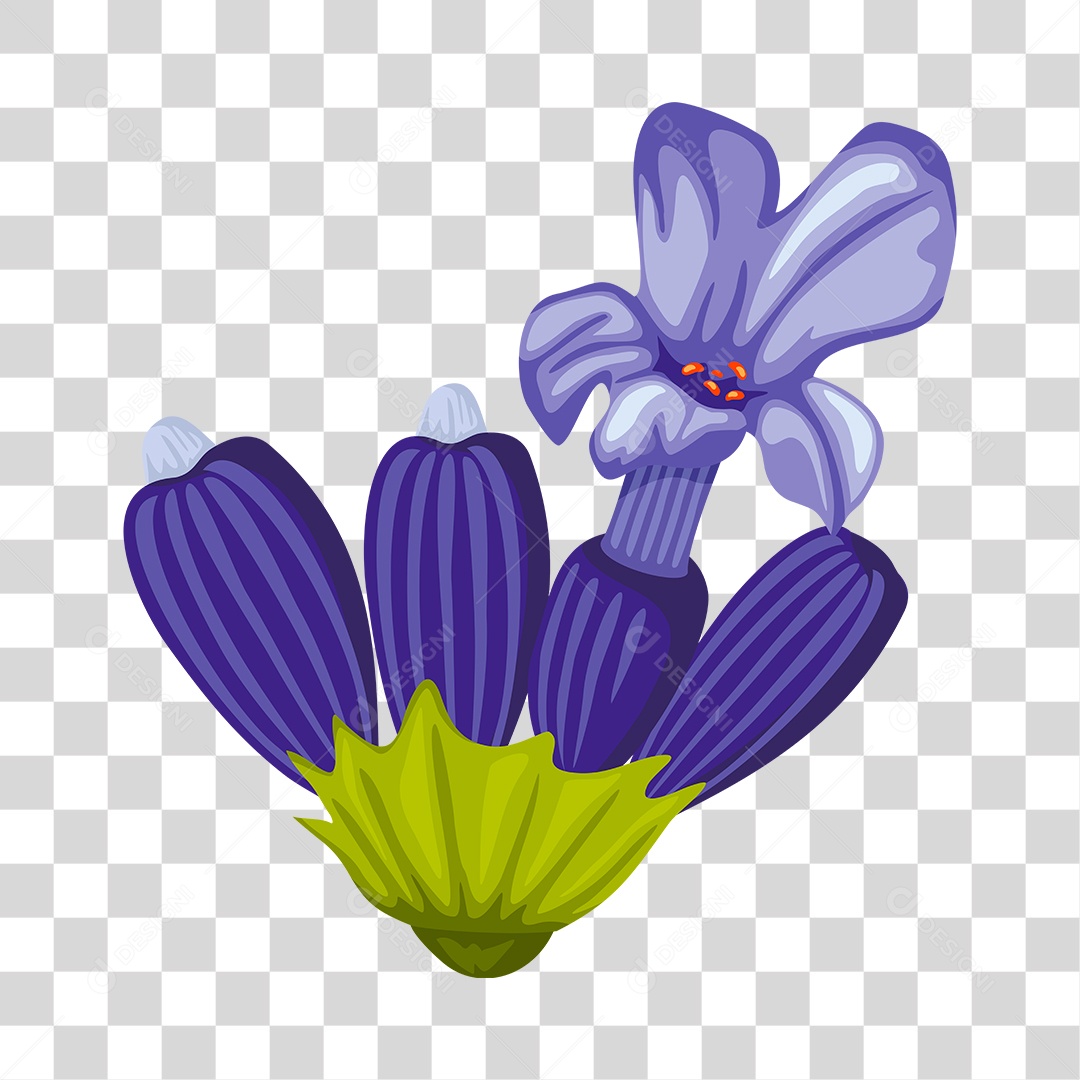 Desenho de lindas flores roxa PNG Transparente