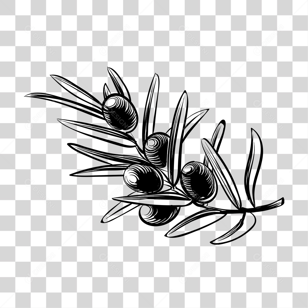 Desenho de Ramo com Fruto Preto e Branco PNG Transparente