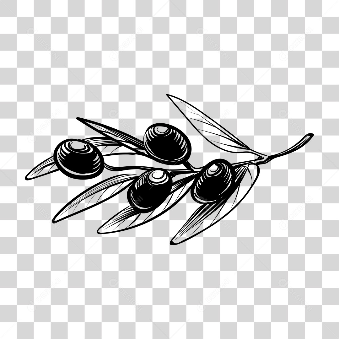 Desenho de Galho com Fruto Preto e Branco PNG Transparente