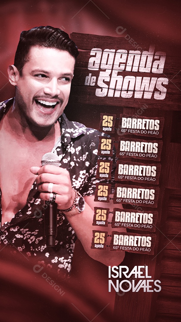 Story Agenda de Shows Israel Novaes Flyer Social Media PSD Editável