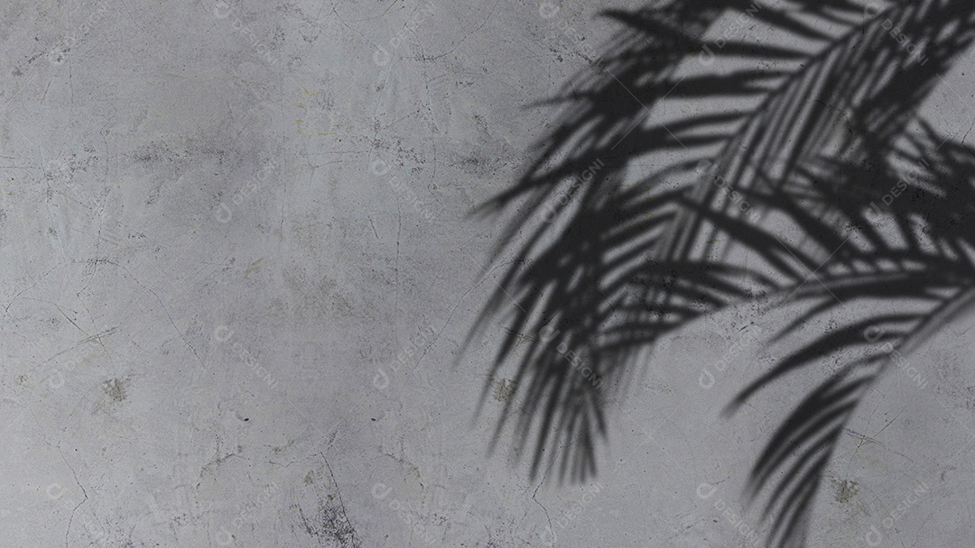 Uma imagem de coqueiro deixa sombra na parede.