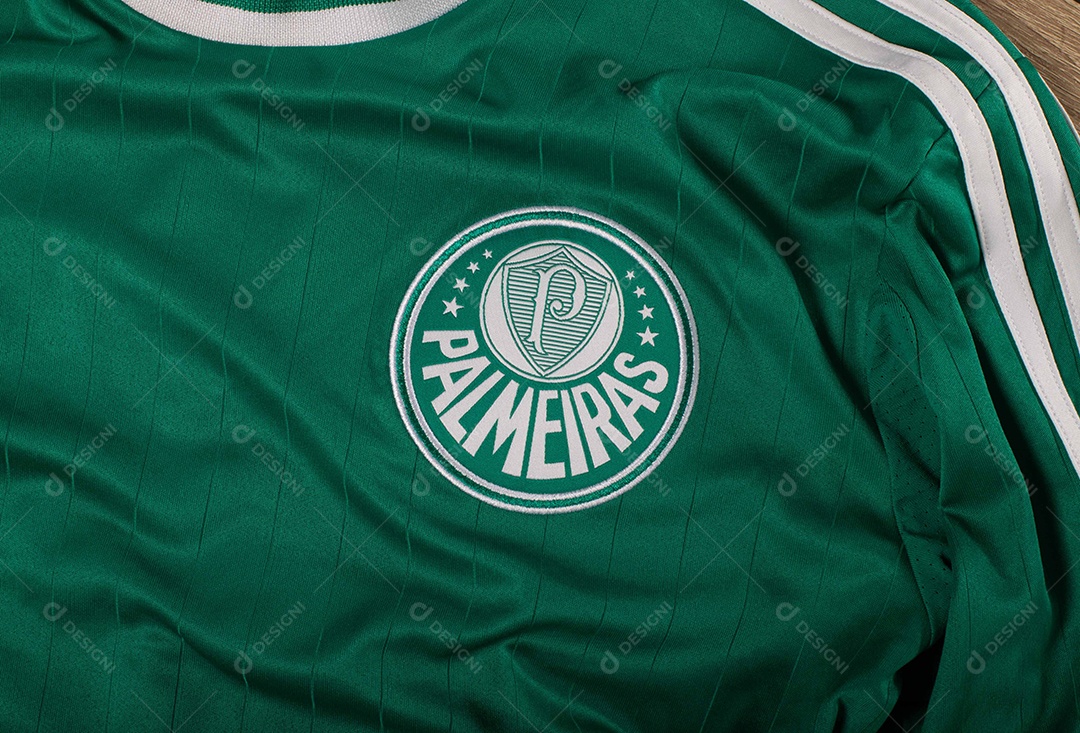 Camisa do time de futebol Palmeiras, que compete na Copa Libertadores da América.  uniforme oficial, logotipo da equipe e texturas da camisa.