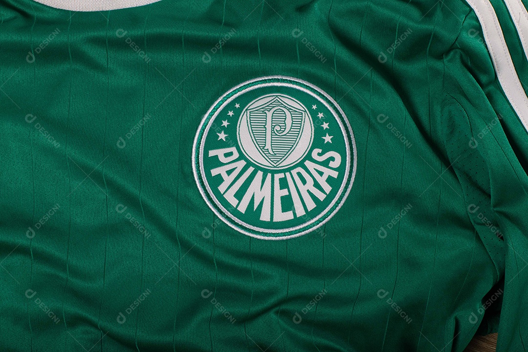 Camisa do time de futebol Palmeiras, que compete na Copa Libertadores da América.  uniforme oficial, logotipo da equipe e texturas da camisa.