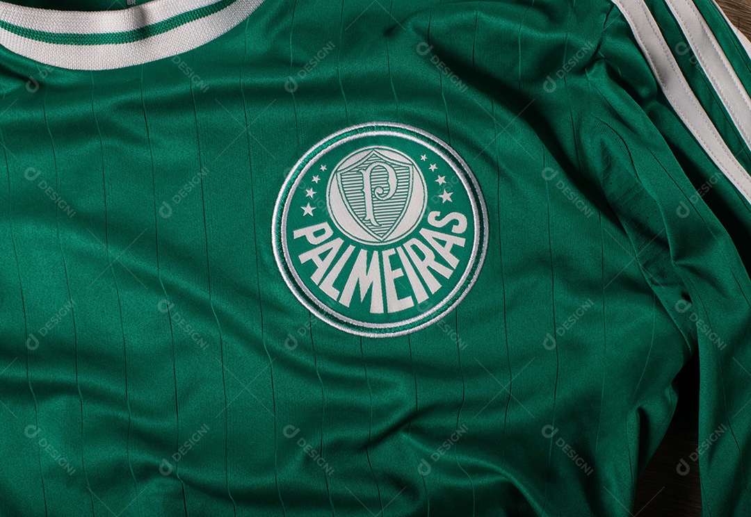Camisa do time de futebol Palmeiras, que compete na Copa Libertadores da América.  uniforme oficial, logotipo da equipe e texturas da camisa.