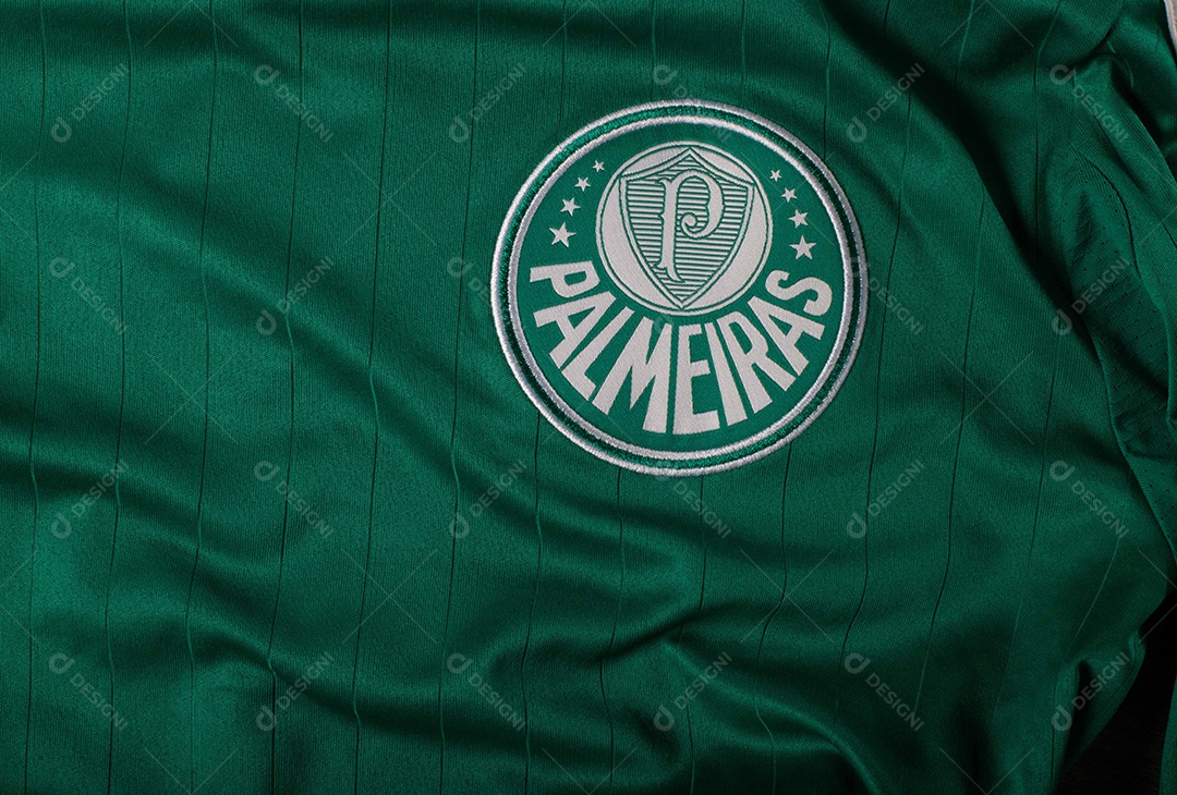 Camisa do time de futebol Palmeiras, que compete na Copa Libertadores da América.  uniforme oficial, logotipo da equipe e texturas da camisa.