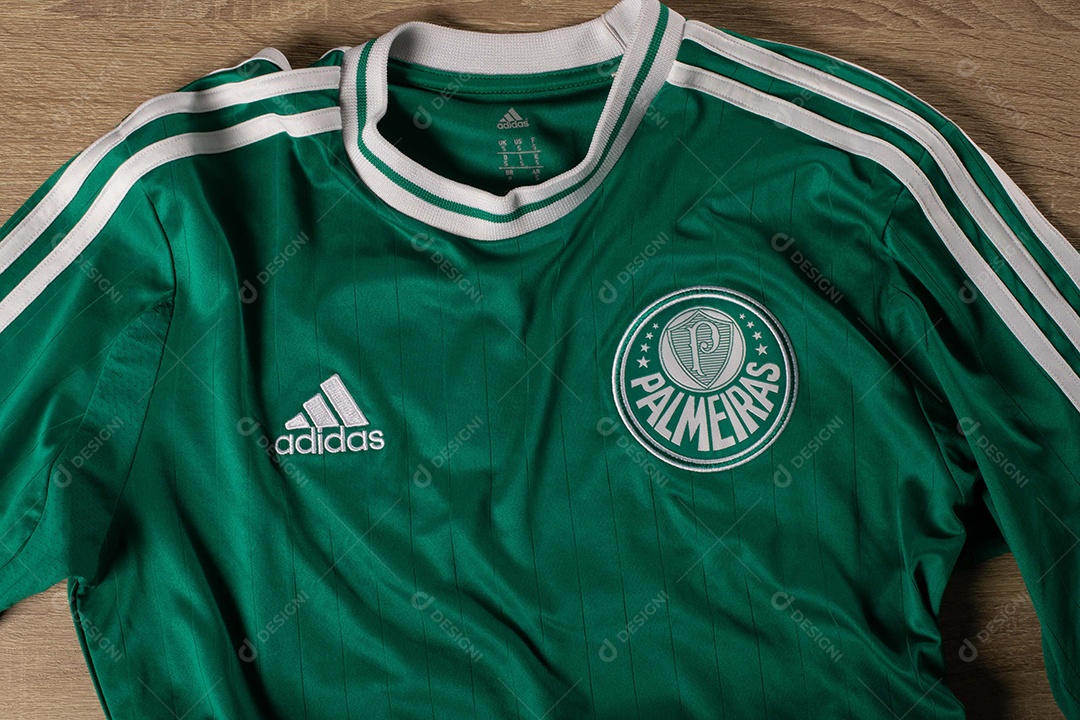 Camisa do time de futebol Palmeiras, que compete na Copa Libertadores da América.  uniforme oficial, logotipo da equipe e texturas da camisa.