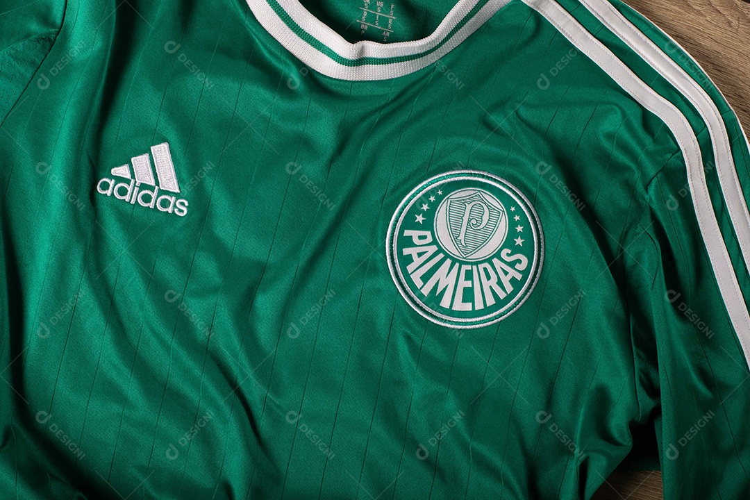 Camisa do time de futebol Palmeiras, que compete na Copa Libertadores da América.  uniforme oficial, logotipo da equipe e texturas da camisa.