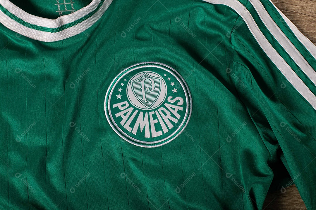 Camisa do time de futebol Palmeiras, que compete na Copa Libertadores da América.  uniforme oficial, logotipo da equipe e texturas da camisa.