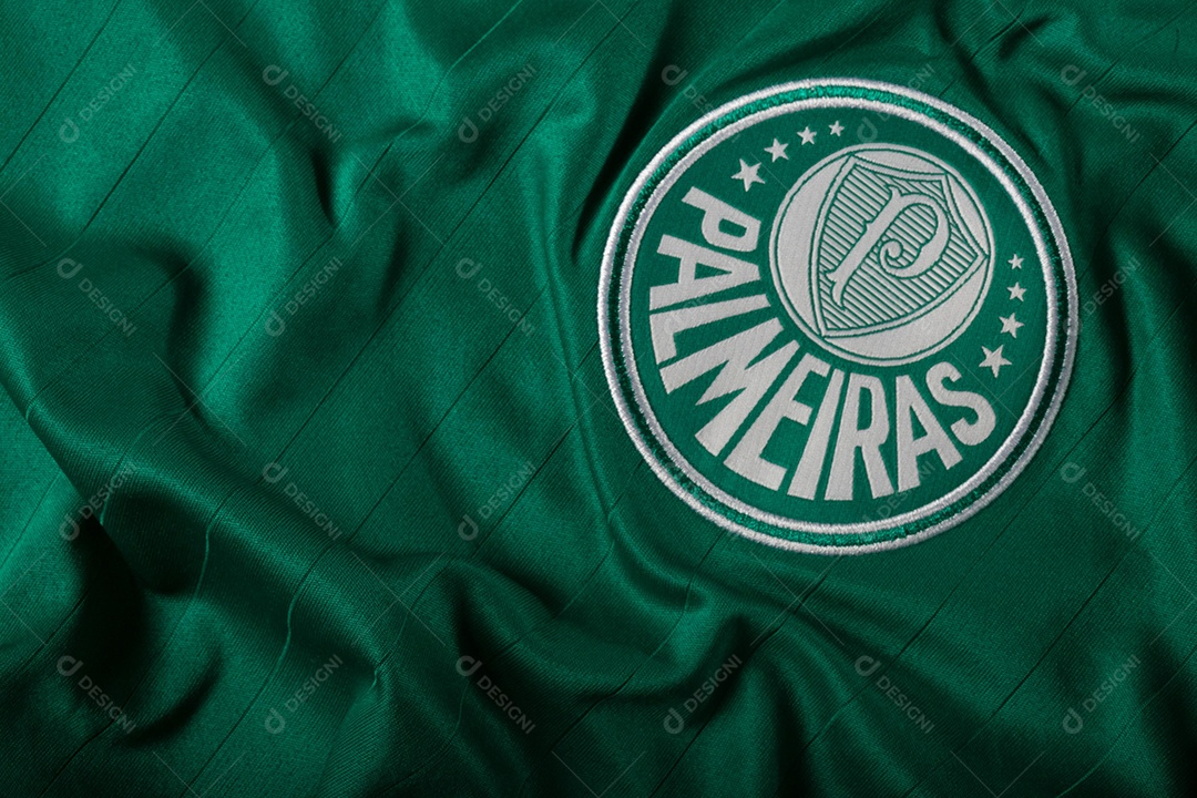 Camisa do time de futebol Palmeiras, que compete na Copa Libertadores da América.  uniforme oficial, logotipo da equipe e texturas da camisa.