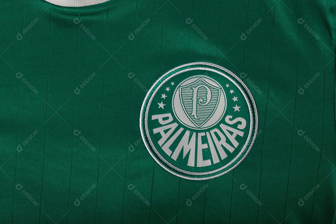 Camisa do time de futebol Palmeiras, que compete na Copa Libertadores da América.  uniforme oficial, logotipo da equipe e texturas da camisa.