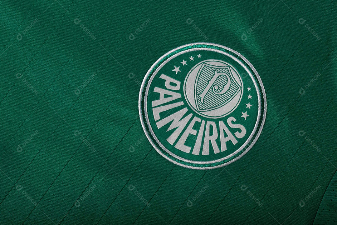 Camisa do time de futebol Palmeiras, que compete na Copa Libertadores da América.  uniforme oficial, logotipo da equipe e texturas da camisa.