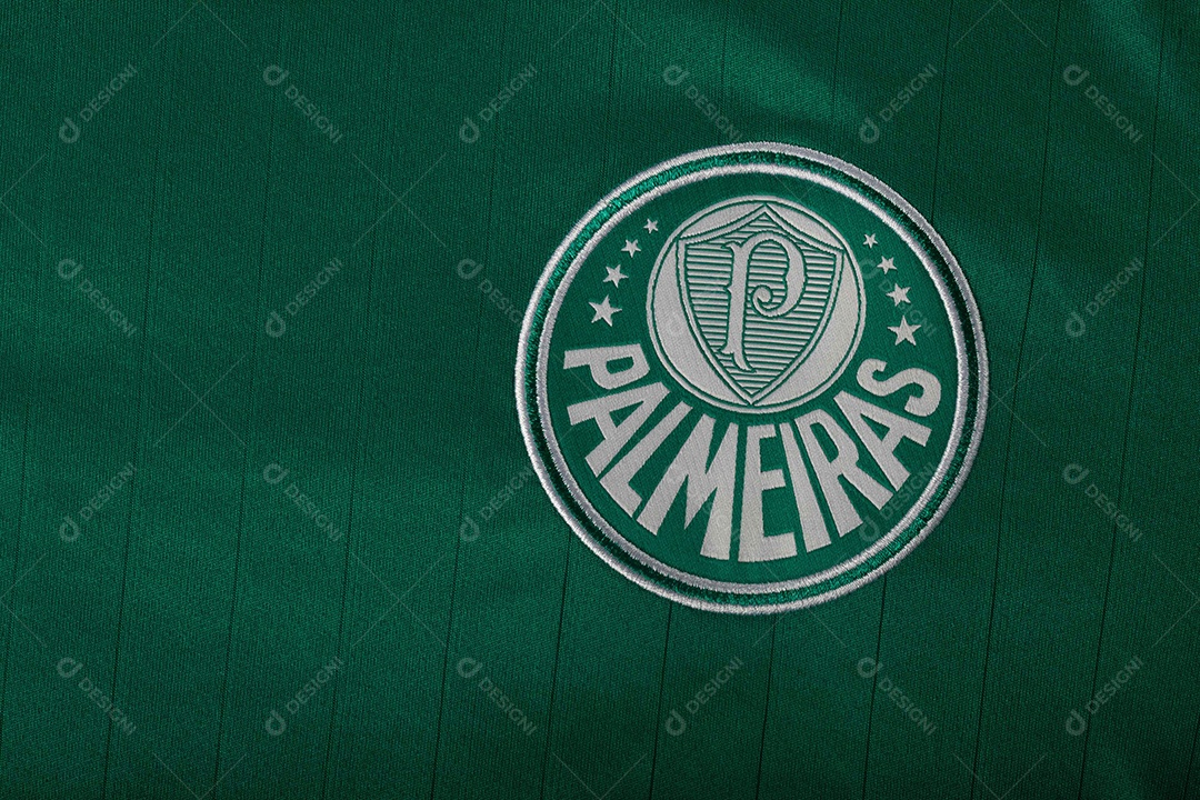 Camisa do time de futebol Palmeiras, que compete na Copa Libertadores da América.  uniforme oficial, logotipo da equipe e texturas da camisa.