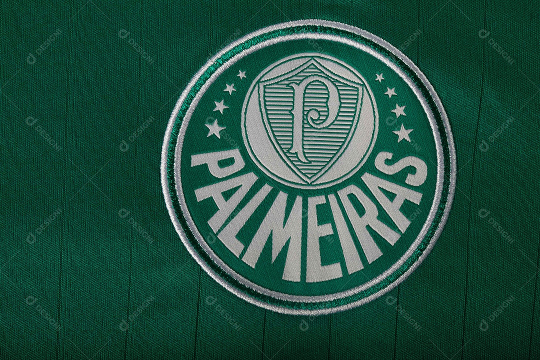 Camisa do time de futebol Palmeiras, que compete na Copa Libertadores da América.  uniforme oficial, logotipo da equipe e texturas da camisa.