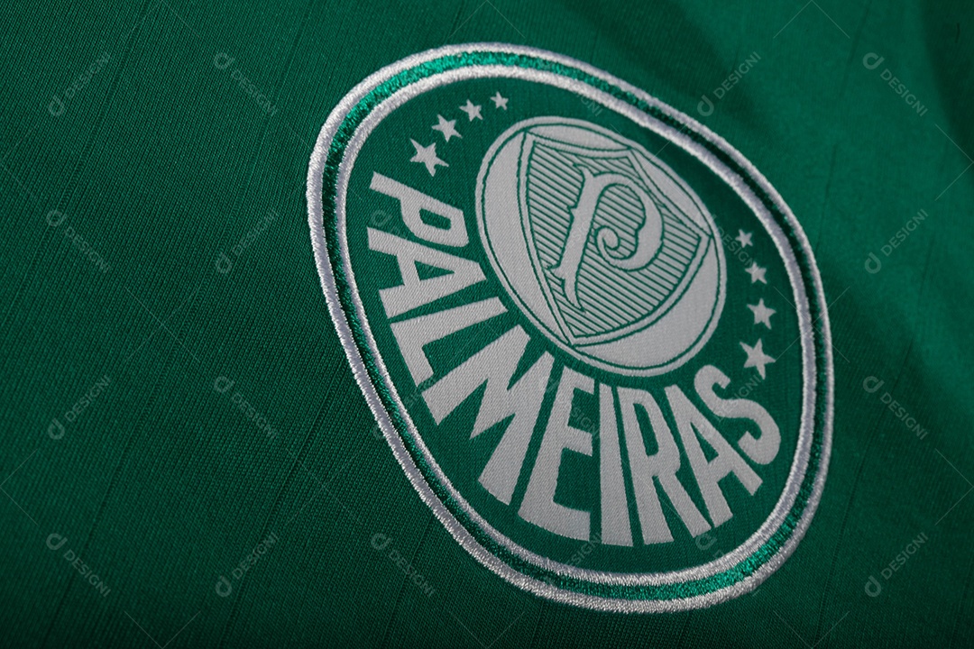 Camisa do time de futebol Palmeiras, que compete na Copa Libertadores da América.  uniforme oficial, logotipo da equipe e texturas da camisa.