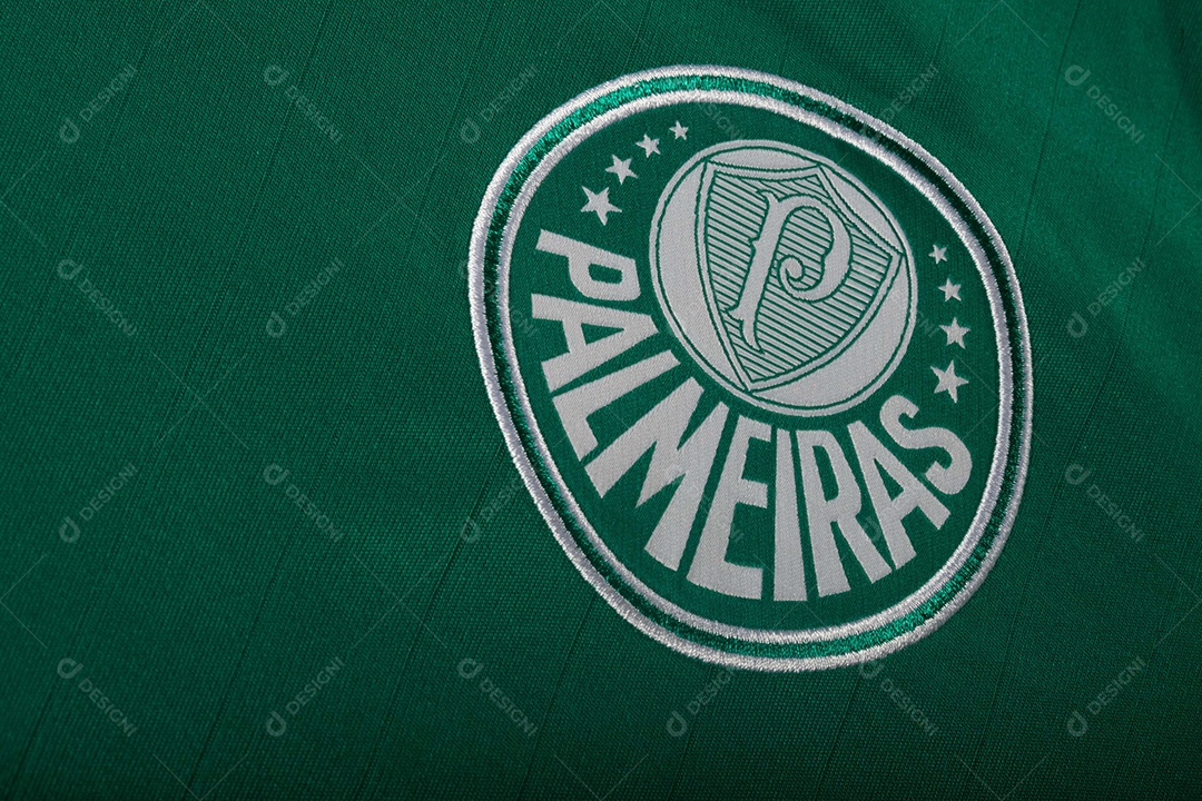 Camisa do time de futebol Palmeiras, que compete na Copa Libertadores da América.  uniforme oficial, logotipo da equipe e texturas da camisa.