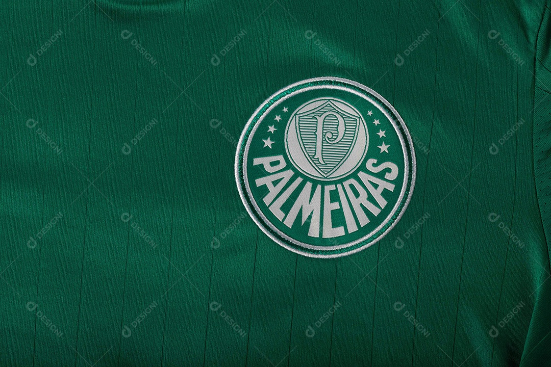 Camisa do time de futebol Palmeiras, que compete na Copa Libertadores da América.  uniforme oficial, logotipo da equipe e texturas da camisa.