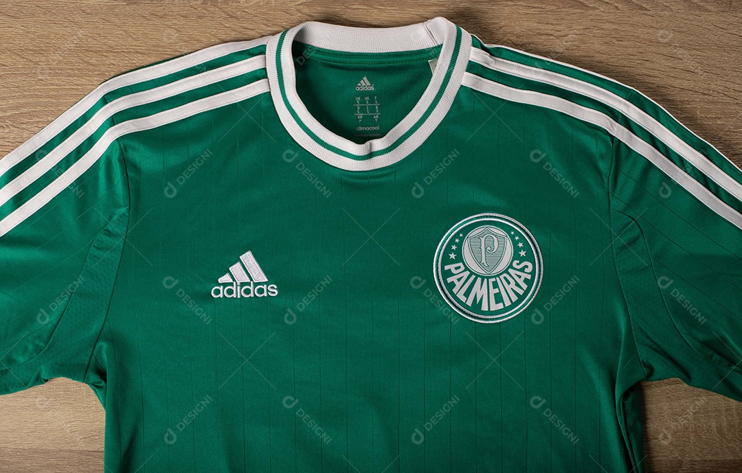 Camisa do time de futebol Palmeiras, que compete na Copa Libertadores da América.  uniforme oficial, logotipo da equipe e texturas da camisa.