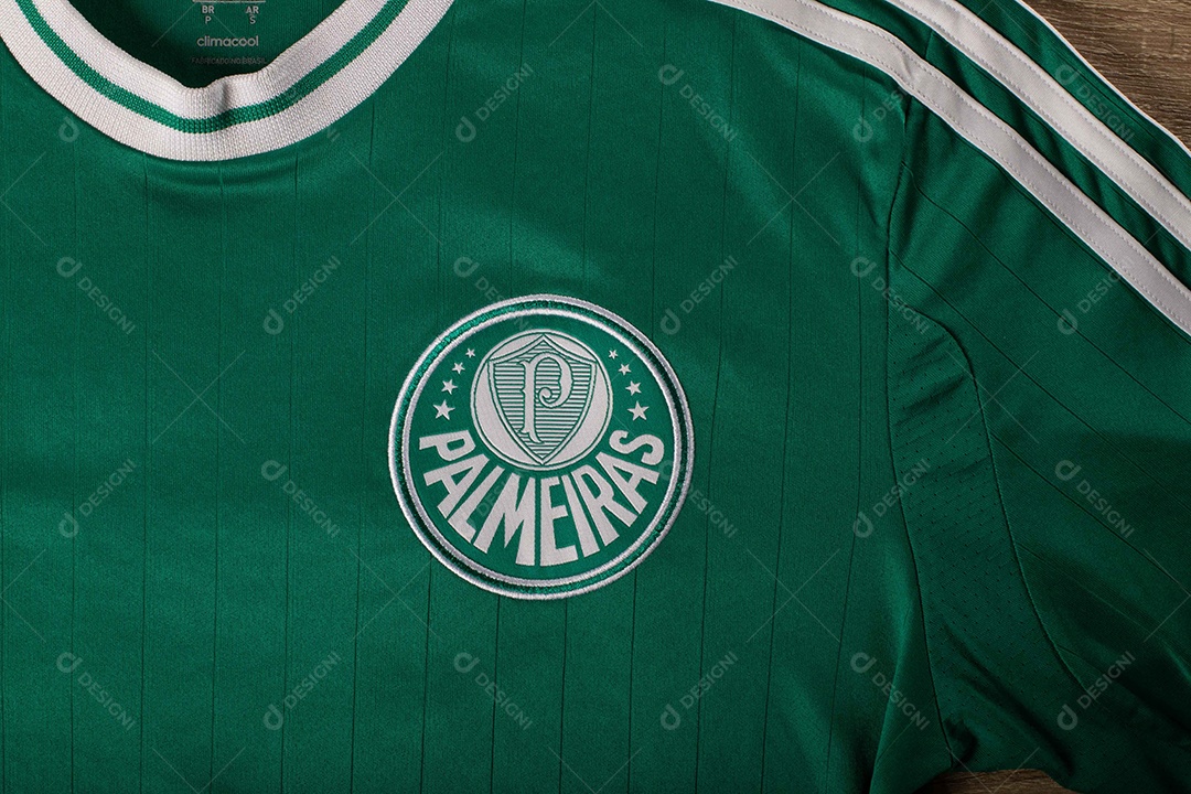 Camisa do time de futebol Palmeiras, que compete na Copa Libertadores da América.  uniforme oficial, logotipo da equipe e texturas da camisa.