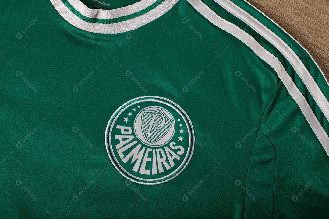 Camisa do time de futebol Palmeiras, que compete na Copa Libertadores da América.  uniforme oficial, logotipo da equipe e texturas da camisa.