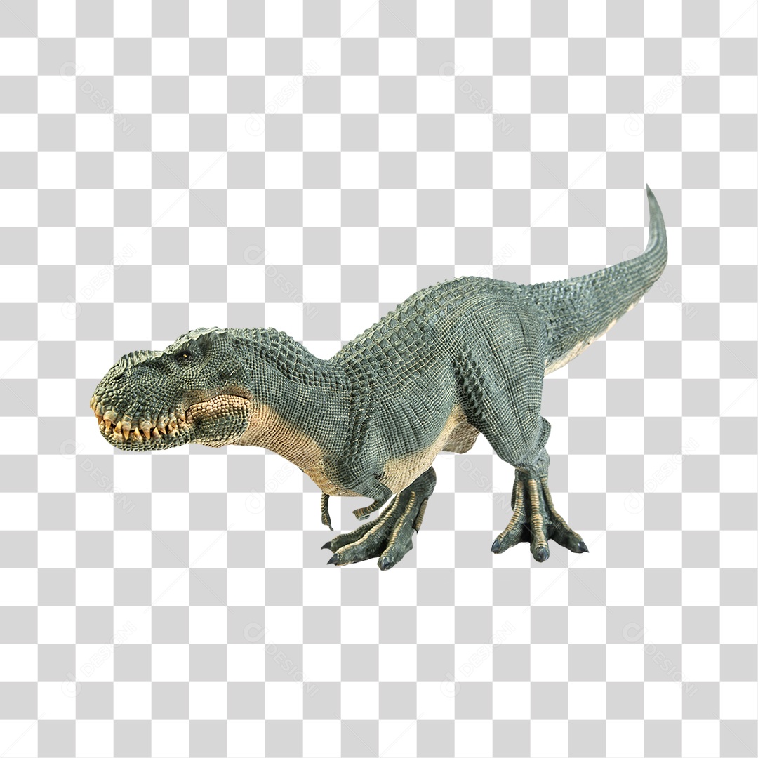 Objeto 3D Dinossauro Tirannosaurus Rex Para Composição PNG Transparente