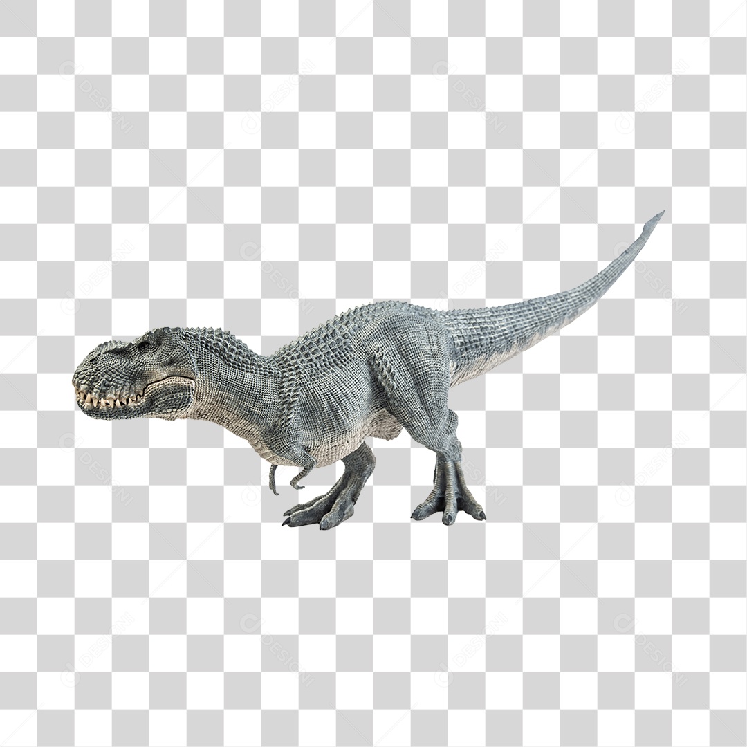 Objeto 3D Dinossauro Tirannosaurus Rex Para Composição PNG Transparente