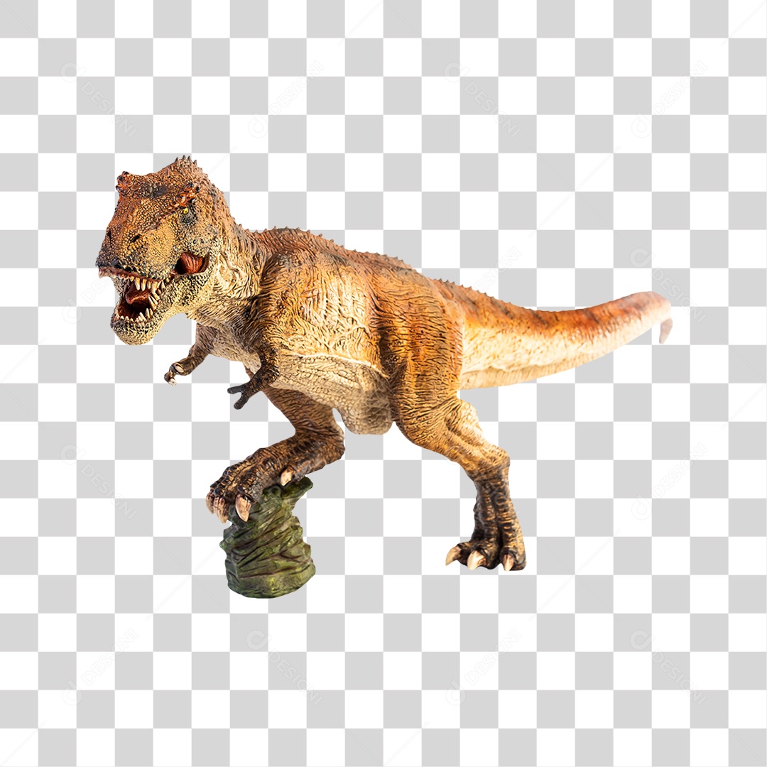 Objeto 3D Dinossauro Tirannosaurus Rex Para Composição PNG Transparente