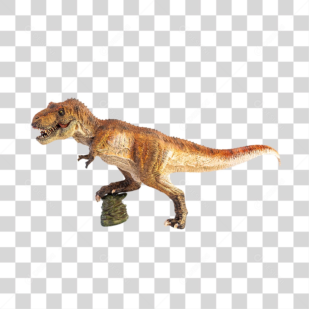 Objeto 3D Dinossauro Tirannosaurus Rex Para Composição PNG Transparente