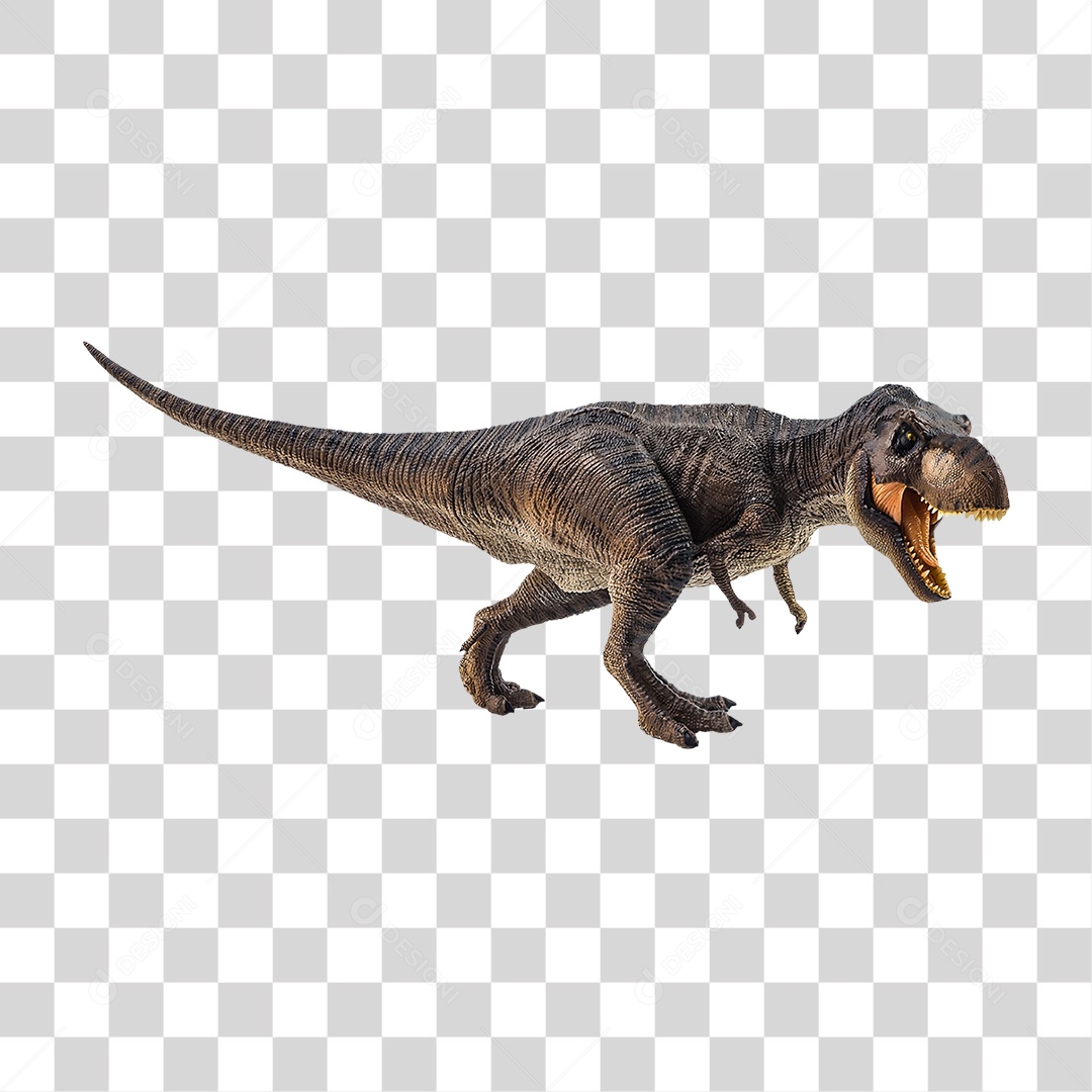 Objeto 3D Dinossauro Tirannosaurus Rex Para Composição PNG Transparente