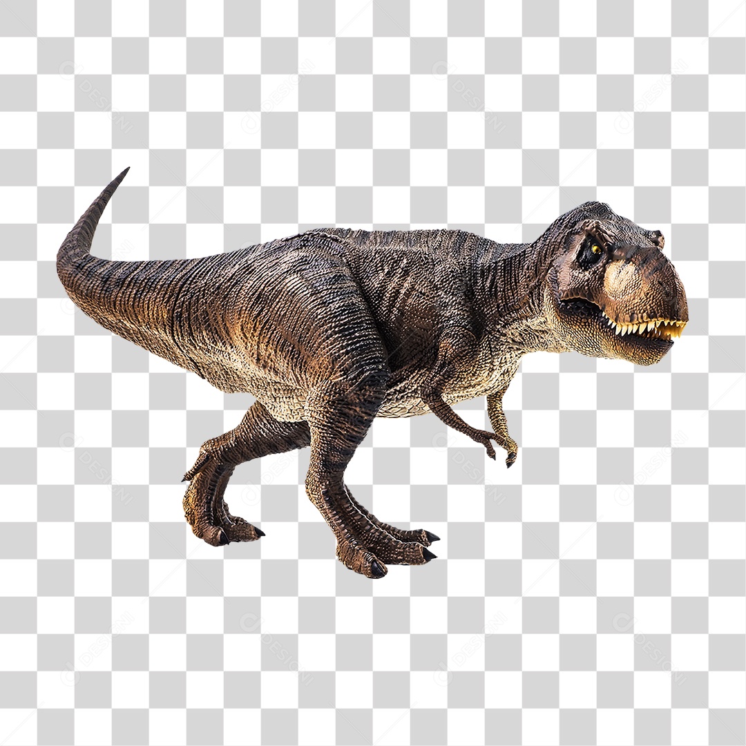 Objeto 3D Dinossauro Tirannosaurus Rex Para Composição PNG Transparente