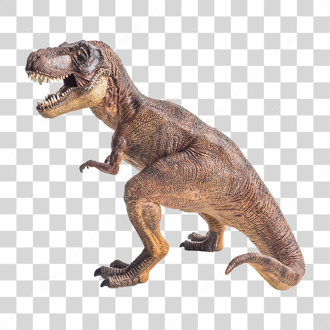Objeto 3D Dinossauro Tirannosaurus Rex Para Composição PNG Transparente