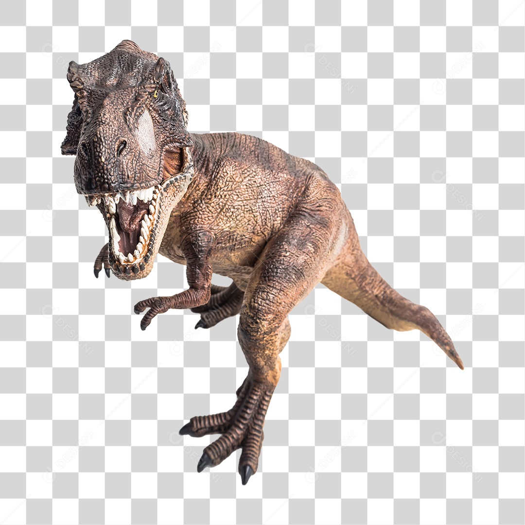 Objeto 3D Dinossauro Tirannosaurus Rex Para Composição PNG Transparente